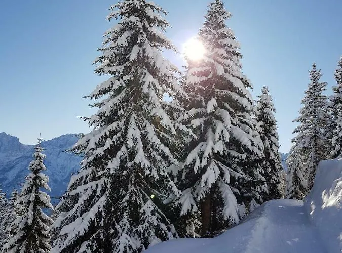 Apartmán Gaestehaus Dorer Gerhard *